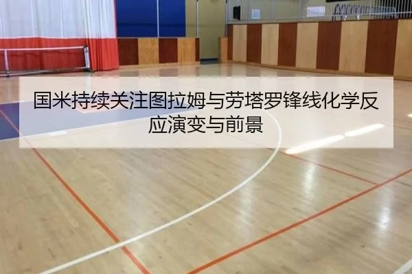 国米持续关注图拉姆与劳塔罗锋线化学反应演变与前景